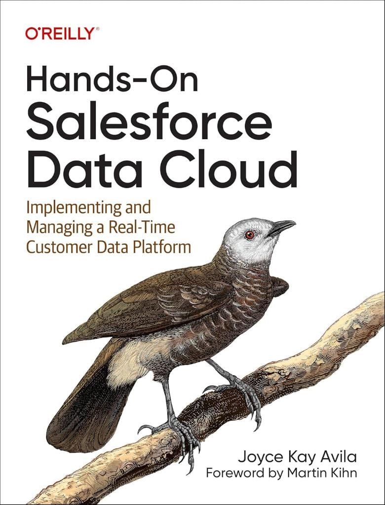 Hands-On Salesforce Data Cloud: Implementing and Managing a Real-Time Customer Data Platform - Joyce Kay Avila