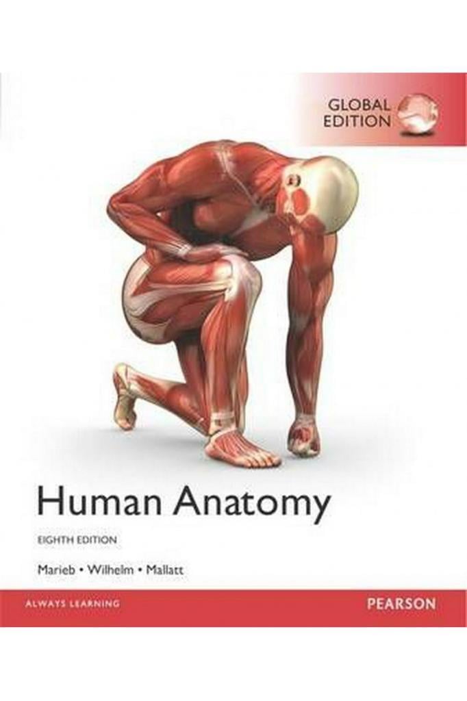 human anatomy 8th (marieb, wilhelm, mallatt)