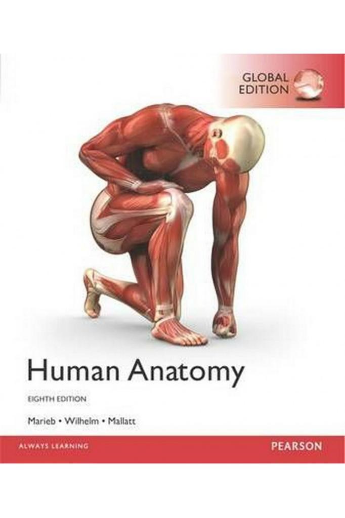 human anatomy 8th (marieb, wilhelm, mallatt)