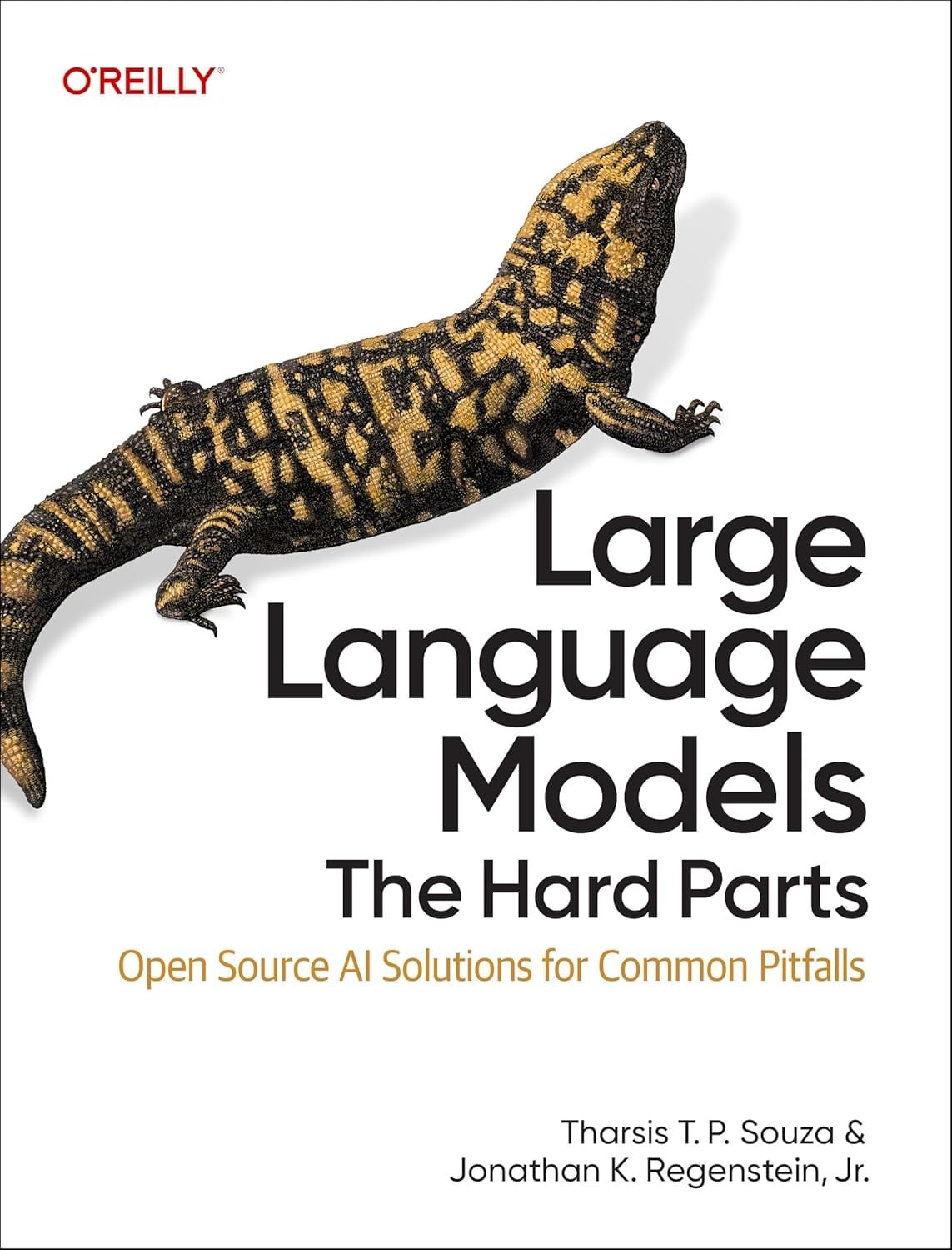 Large Language Models: The Hard Parts: Open Source AI Solutions for Common Pitfalls T. P. Souza Regenstein Jr.