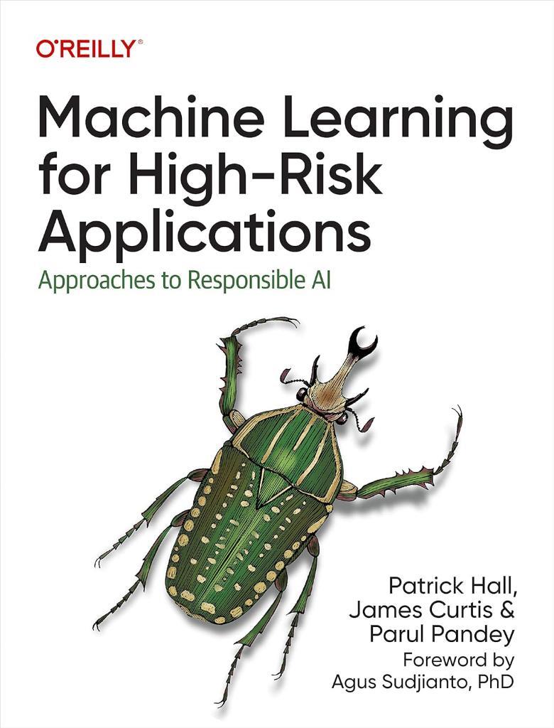 Machine Learning for High-Risk Applications: Approaches to Responsible AI Hall Curtis