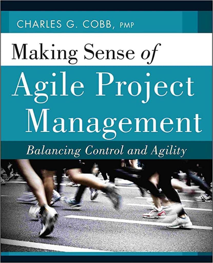 Making Sense of Agile Project Management: Balancing Control and Agility 1st Edition