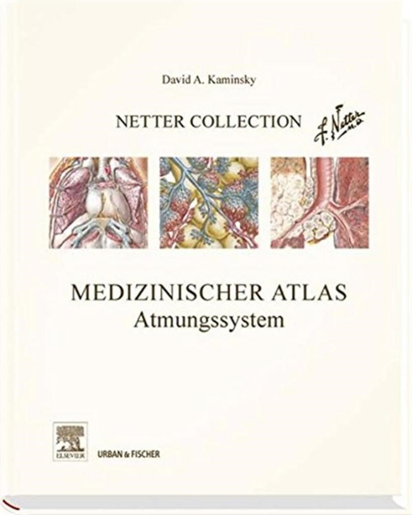 Netter Collection, Medizinischer Atlas, Atmungssystem: mit Zugang zum Elsevier-Portal David A. Kaminsky
