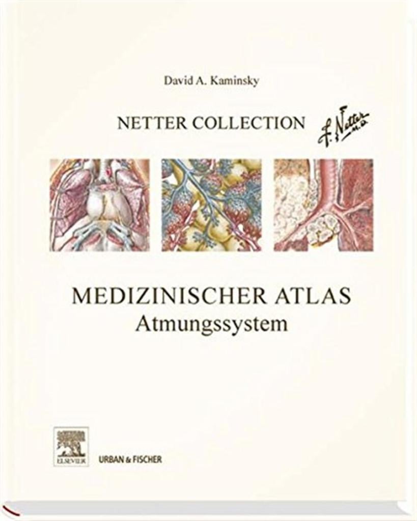 Netter Collection, Medizinischer Atlas, Atmungssystem: mit Zugang zum Elsevier-Portal David A. Kaminsky