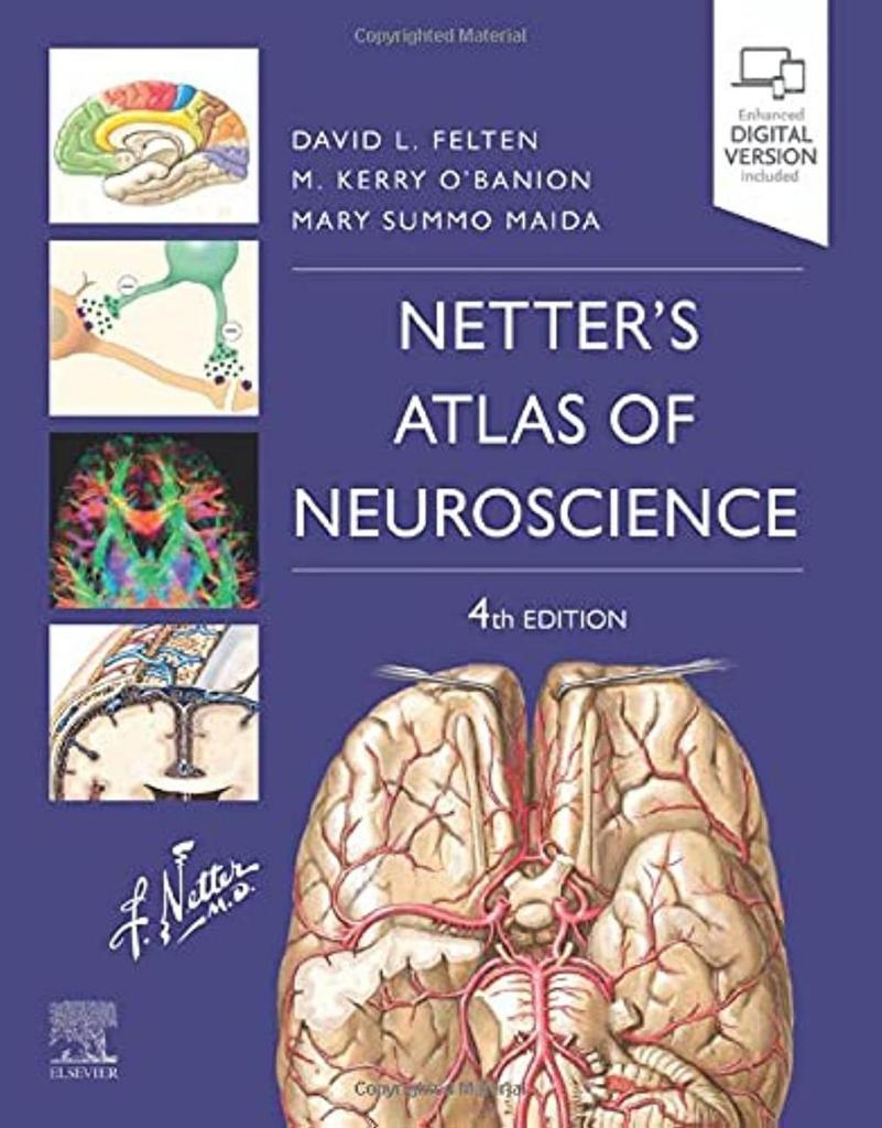 Netter's Atlas of Neuroscience (Netter Basic Science) 4th Edition David L. Felten MD PhD