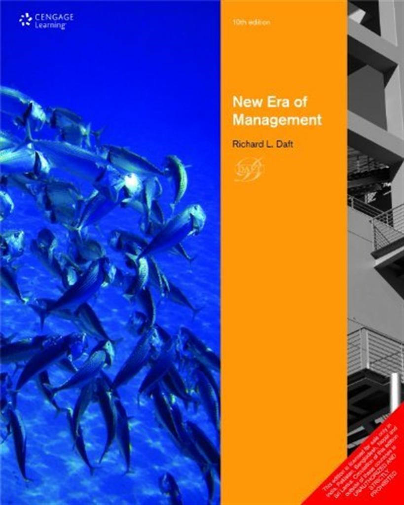 new era of management 10th (richard l. daft)