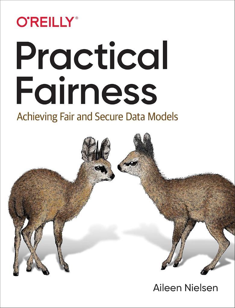 Practical Fairness: Achieving Fair and Secure Data Models Aileen Nielsen