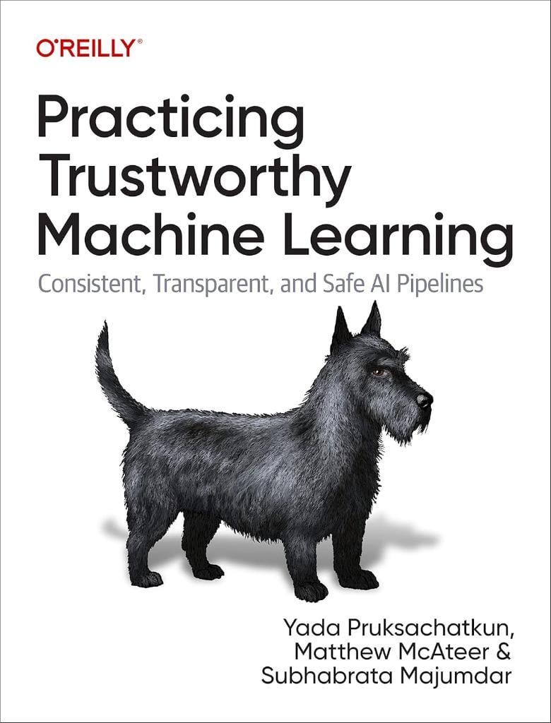 Practicing Trustworthy Machine Learning: Consistent, Transparent, and Fair AI Pipelines Pruksachatkun Mcateer