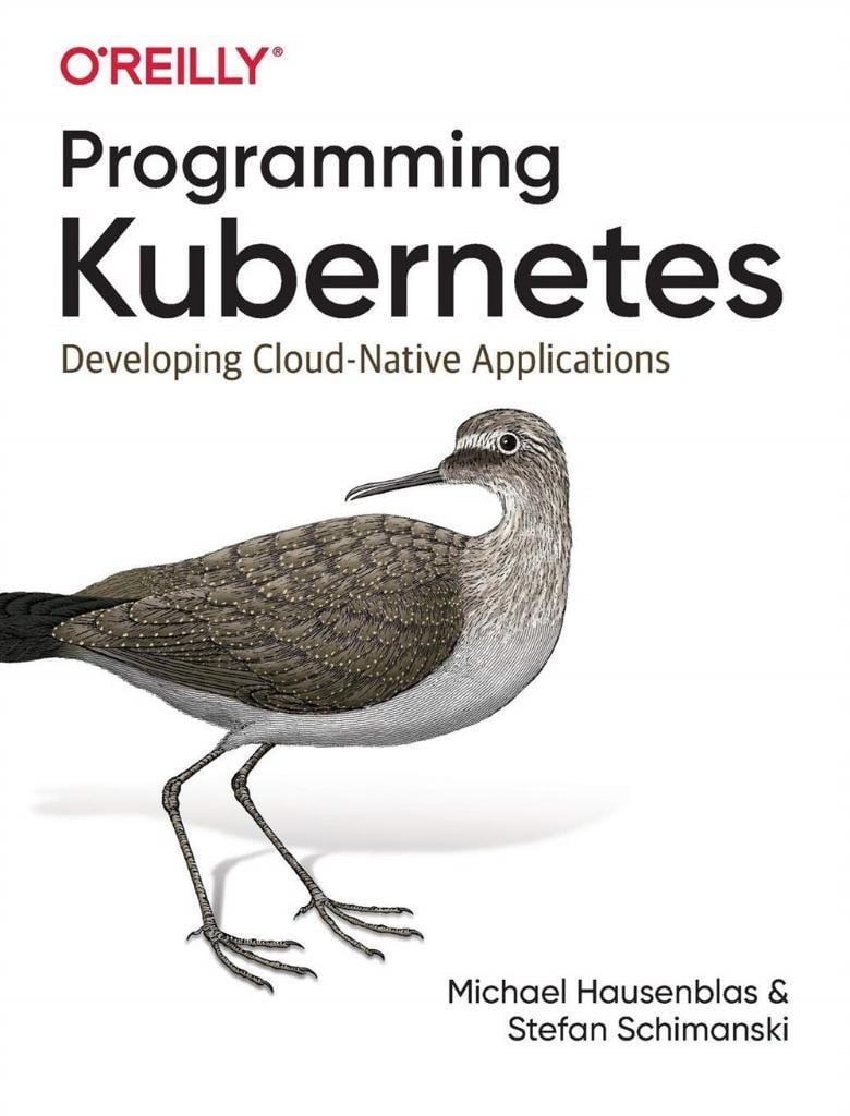 Programming Kubernetes: Developing Cloud-Native Applications 1st Edición