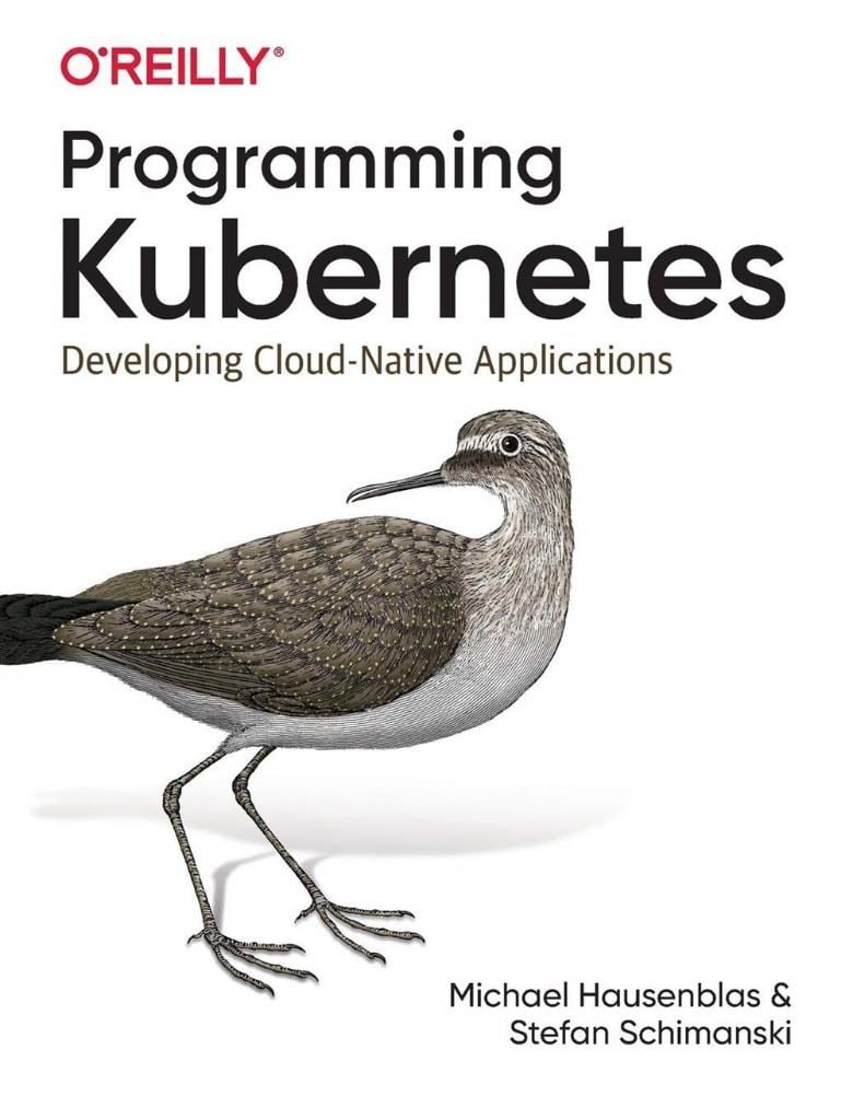 Programming Kubernetes: Developing Cloud-Native Applications 1st Edición