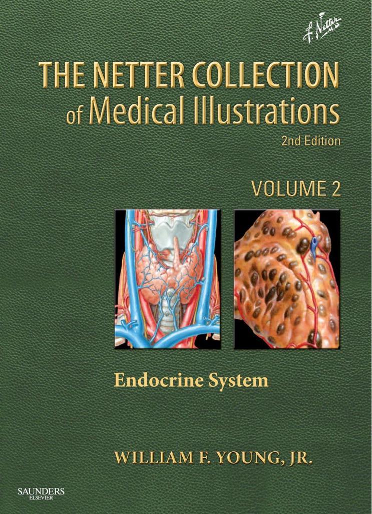 The Netter Collection of Medical Illustrations: The Endocrine System 2nd Edition William F. Young Jr. MD