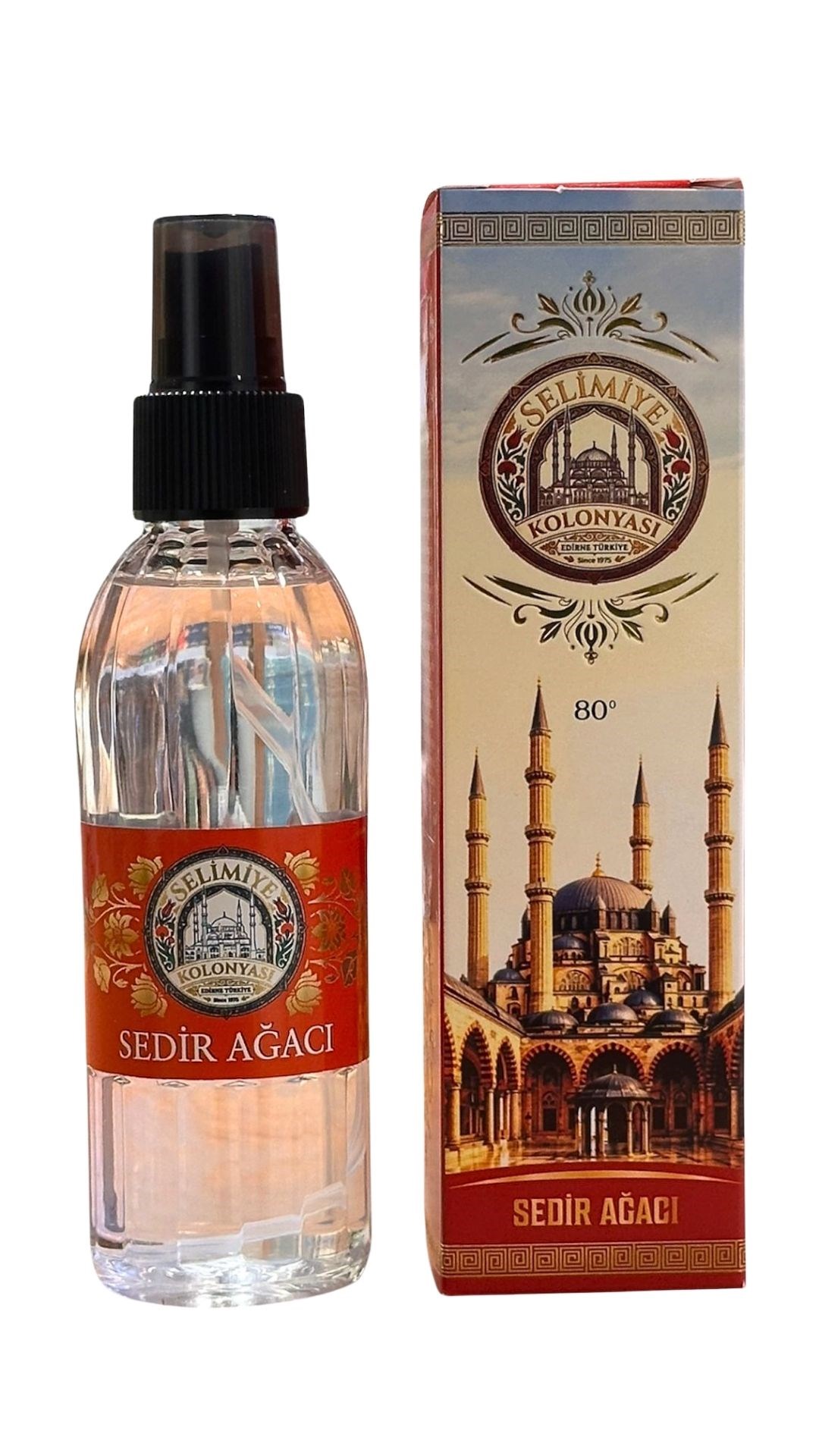 Sedir Ağacı Kolonyası