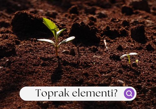 5 Element - Toprak Elementi | Herbushy Herbal