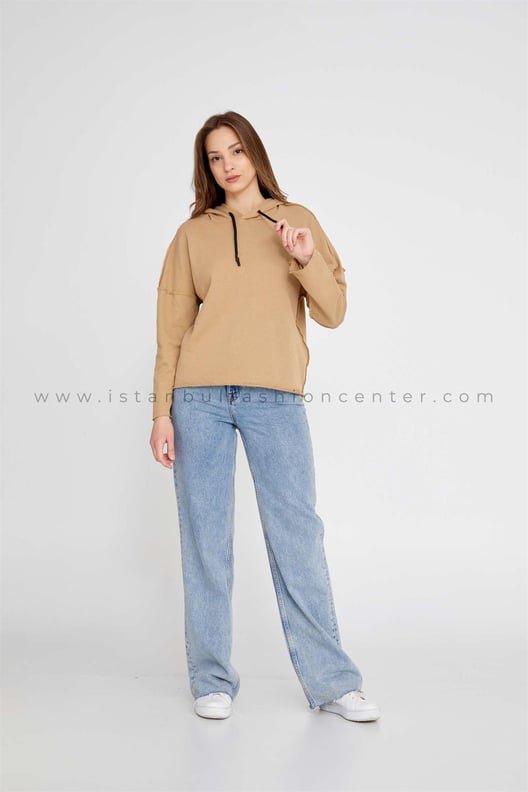 Long Sleeve Solid Color Regular Brown Sweatshirt