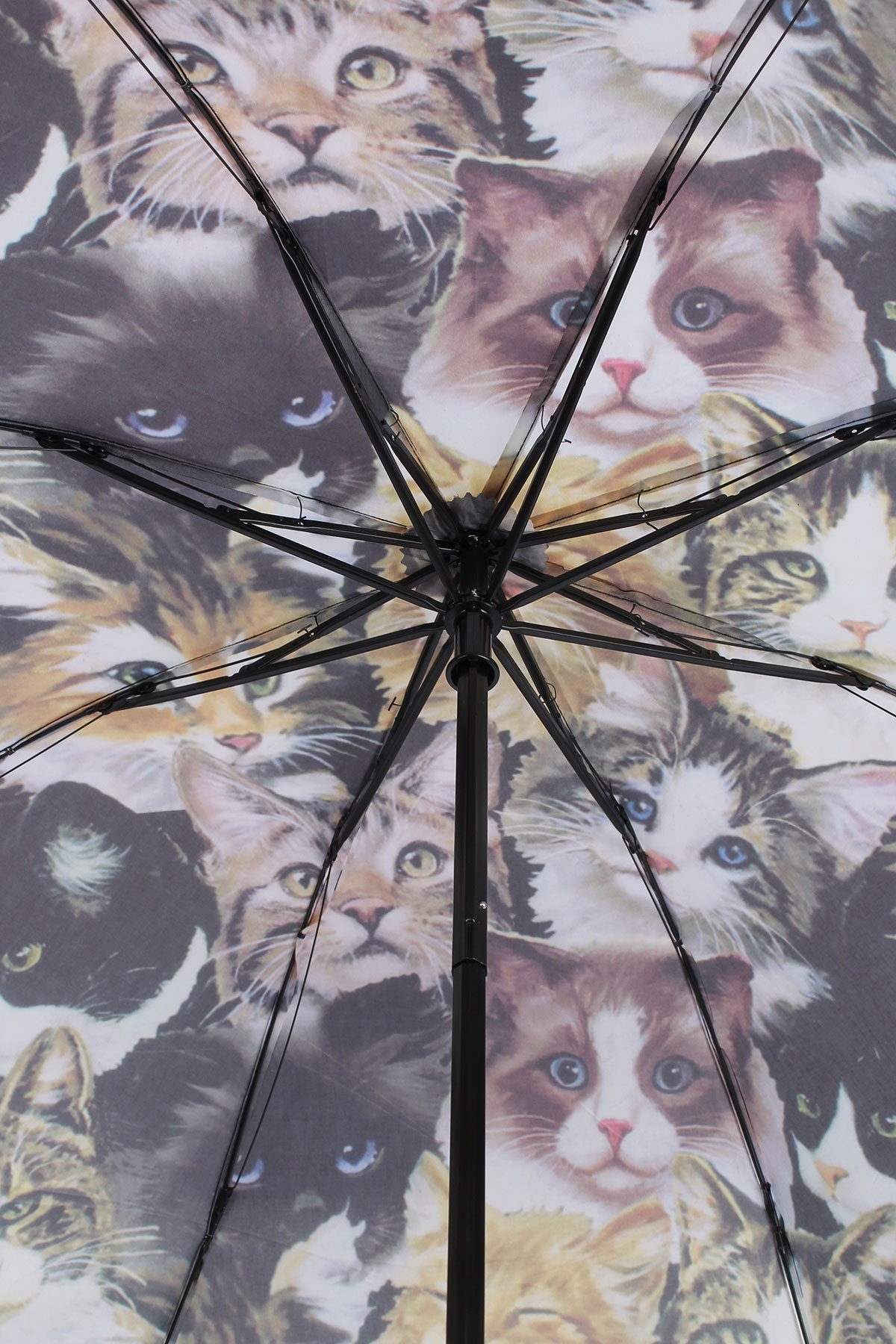 Marlux Kedi Desenli 8 Telli Manuel Rüzgara Dayanıklı Şemsiye M21MAR603R01