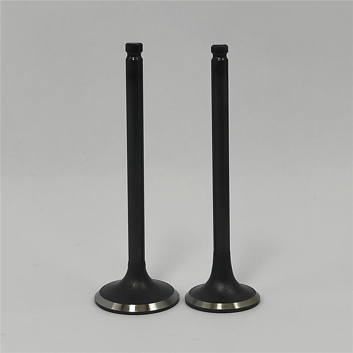 SUBAP SETİ (Em+Eg): MITSUBISHI / S3L / S4L