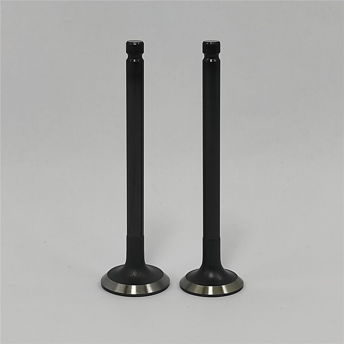SUBAP SETİ (Em+Eg): MITSUBISHI / L2C / L3C / L2E / L3E / REFERANS NO: 30L06-01100 + 30L06-01200