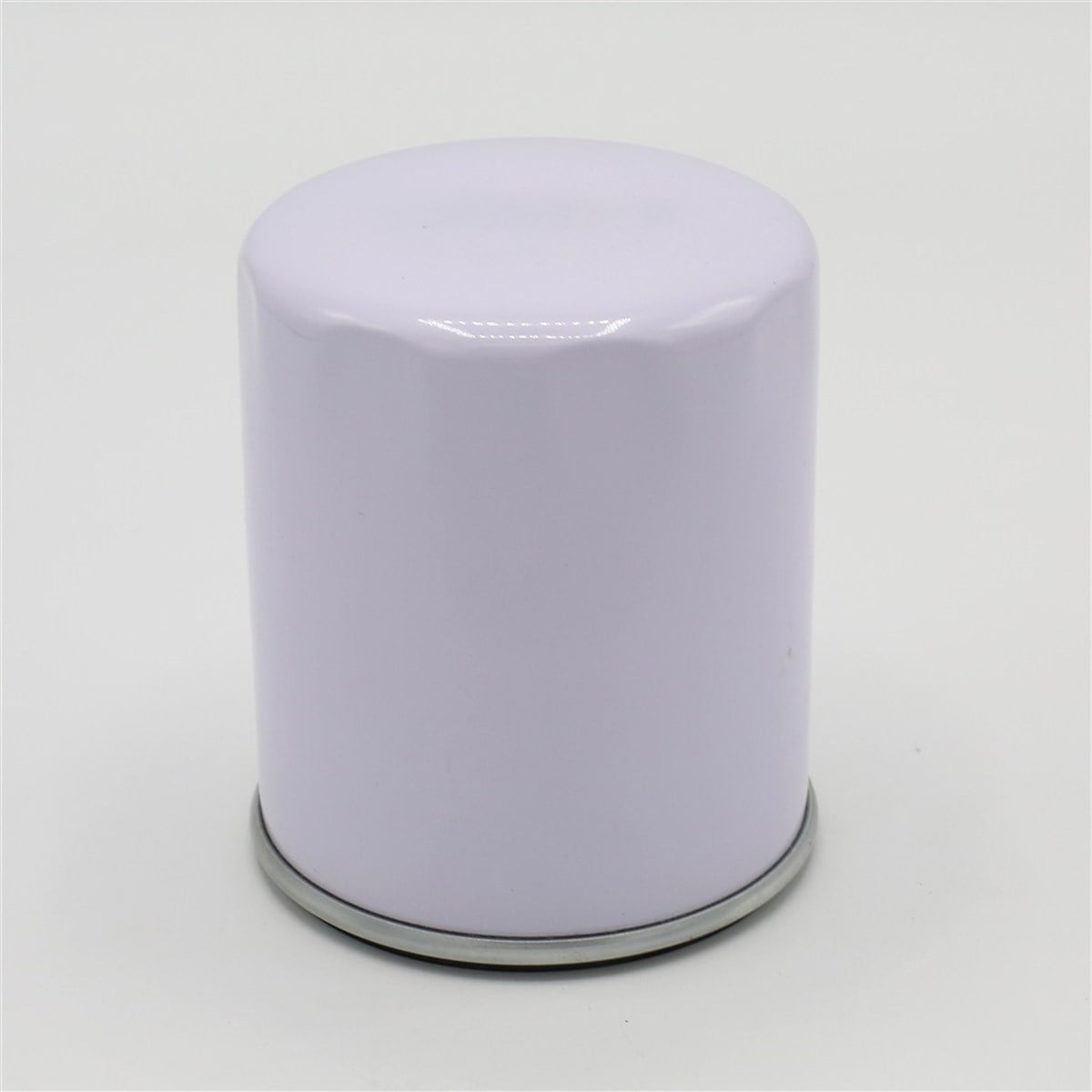 OIL FILTER ELEMENT:  RUGGERINI / RD 290