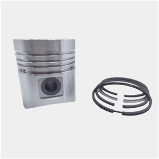 PİSTON + SEGMAN SETİ (STD - ÇAP : 95.00 mm) : LOMBARDINI / 4LD 640 / LDA 96