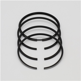 SEGMAN SETİ (0.50 - ÇAP: 90.50 mm): RUGGERINI / RF 120-121 / REFERANS NO: 2150