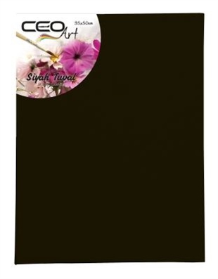 Ceo Art 35x50cm Siyah Tuval