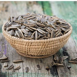 XL DAKOTA KAVRULMUŞ TUZSUZ 1 KG