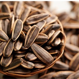 XL DAKOTA KAVRULMUŞ TUZSUZ 500GR