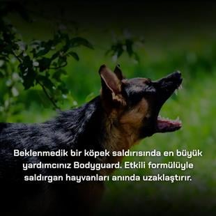 Bodyguard Biber Gazı 40ml 3 Adet Orijinal