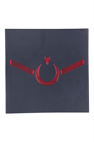 Jandarma Asayiş Yeni Nesil 3 Boyutlu Plastik Uzman Onbaşı Rütbesi Cırtlı Lacivert