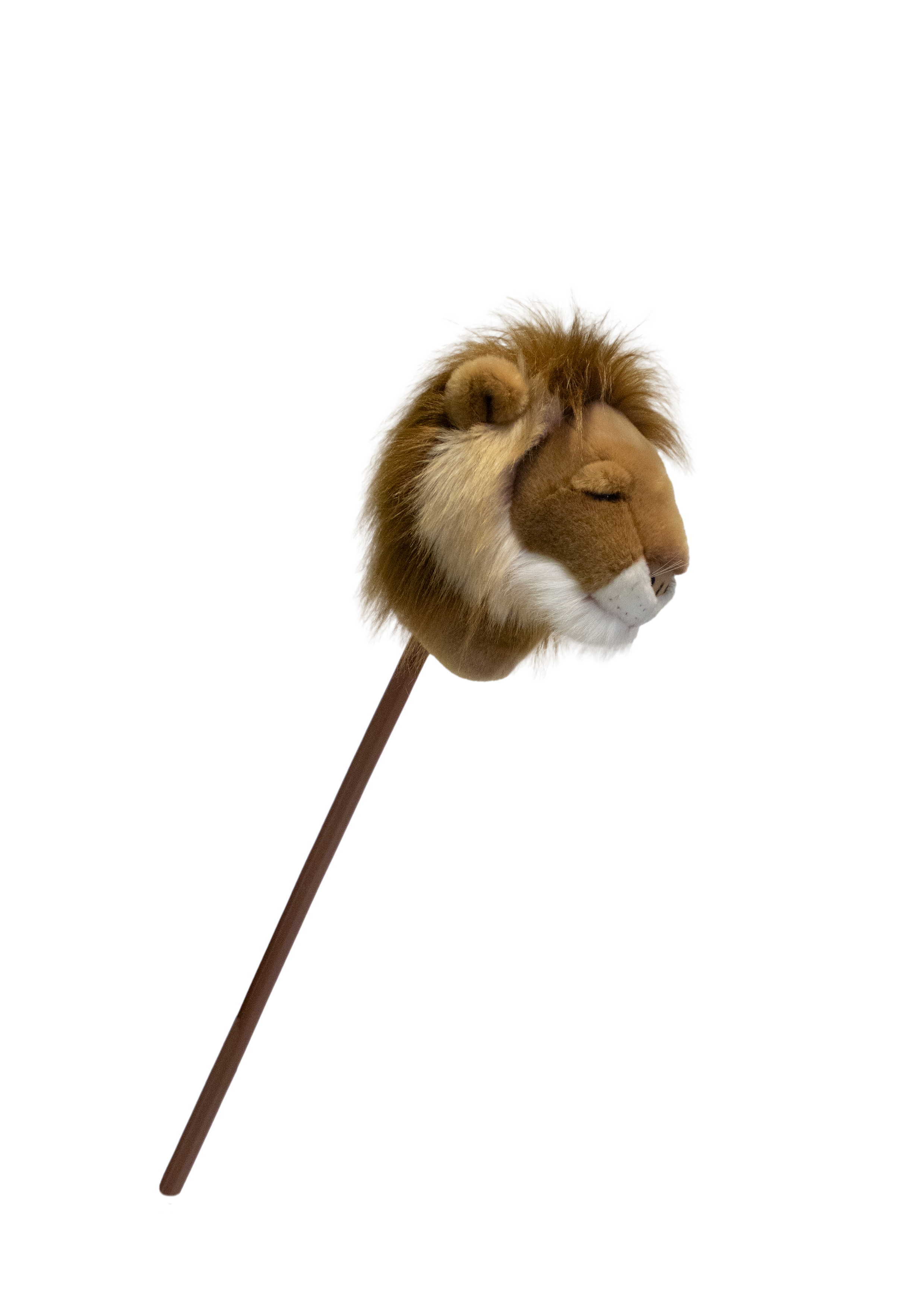 Sopa Oyuncak, Aslan