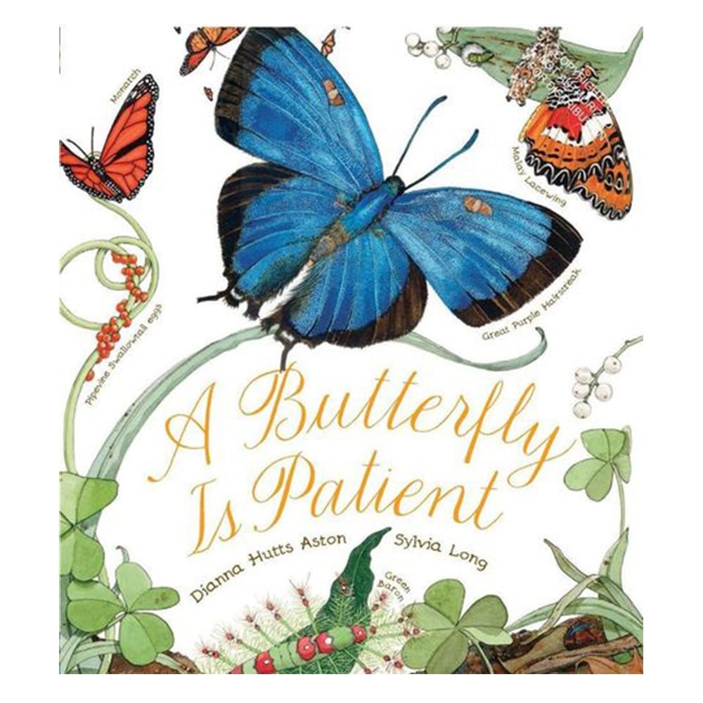 A BUTTERFLY IS PATIENT Çocuk Kitapları Uzmanı - Children's Books Expert