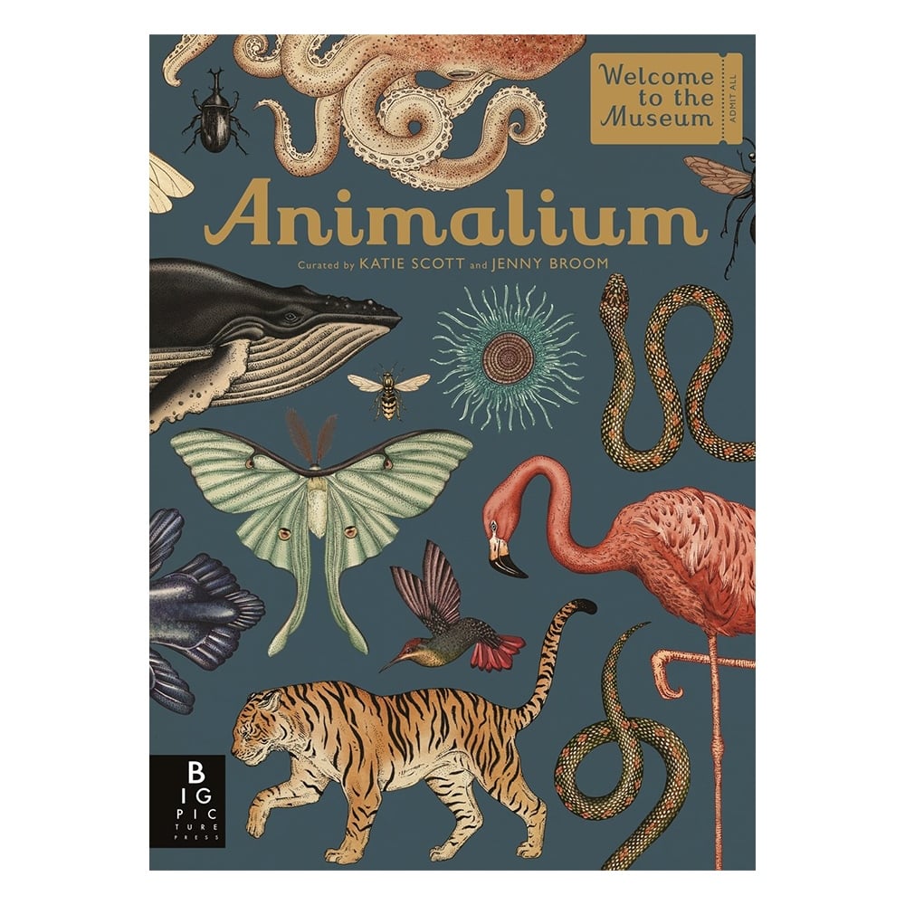 Animalium - Welcome To The Museum