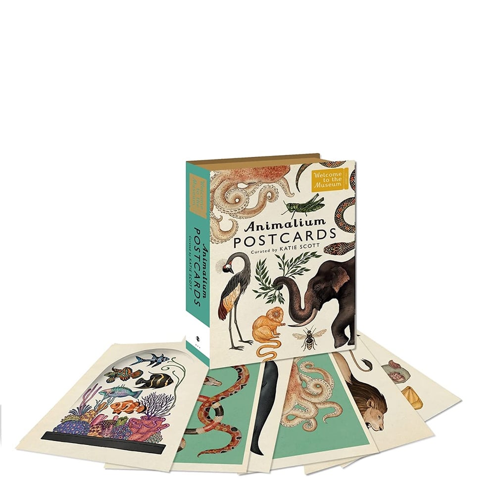 ANIMALIUM POSTCARDS Çocuk Kitapları Uzmanı - Children's Books Expert
