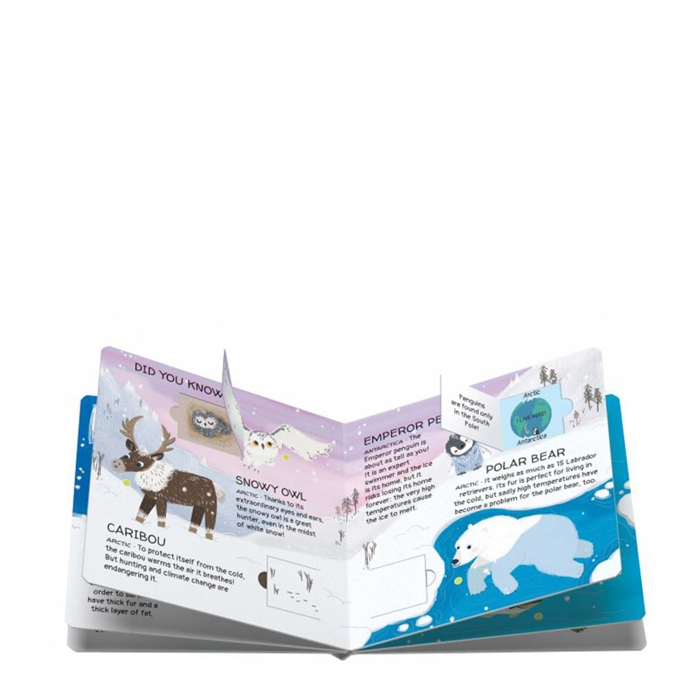 Animals To Save - Polar Ice