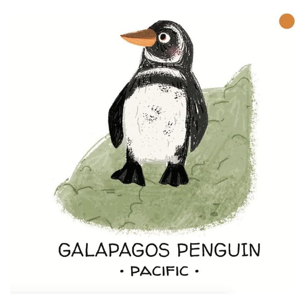 Animals To Save - Seas and Oceans