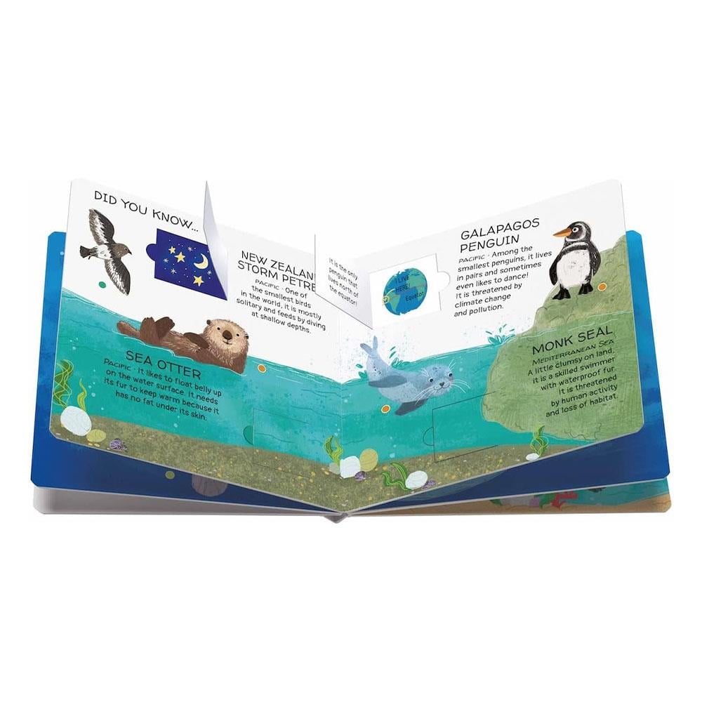 Animals To Save - Seas and Oceans