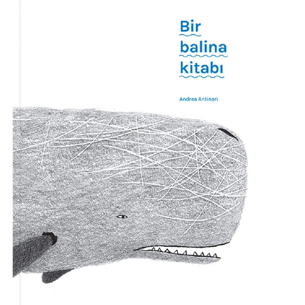 Bir Balina Kitabı