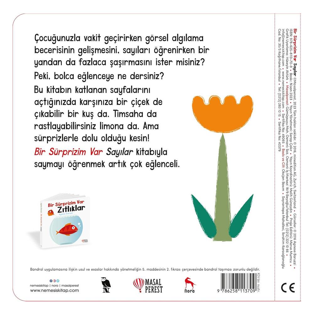 Bir Sürprizim Var - Sayılar