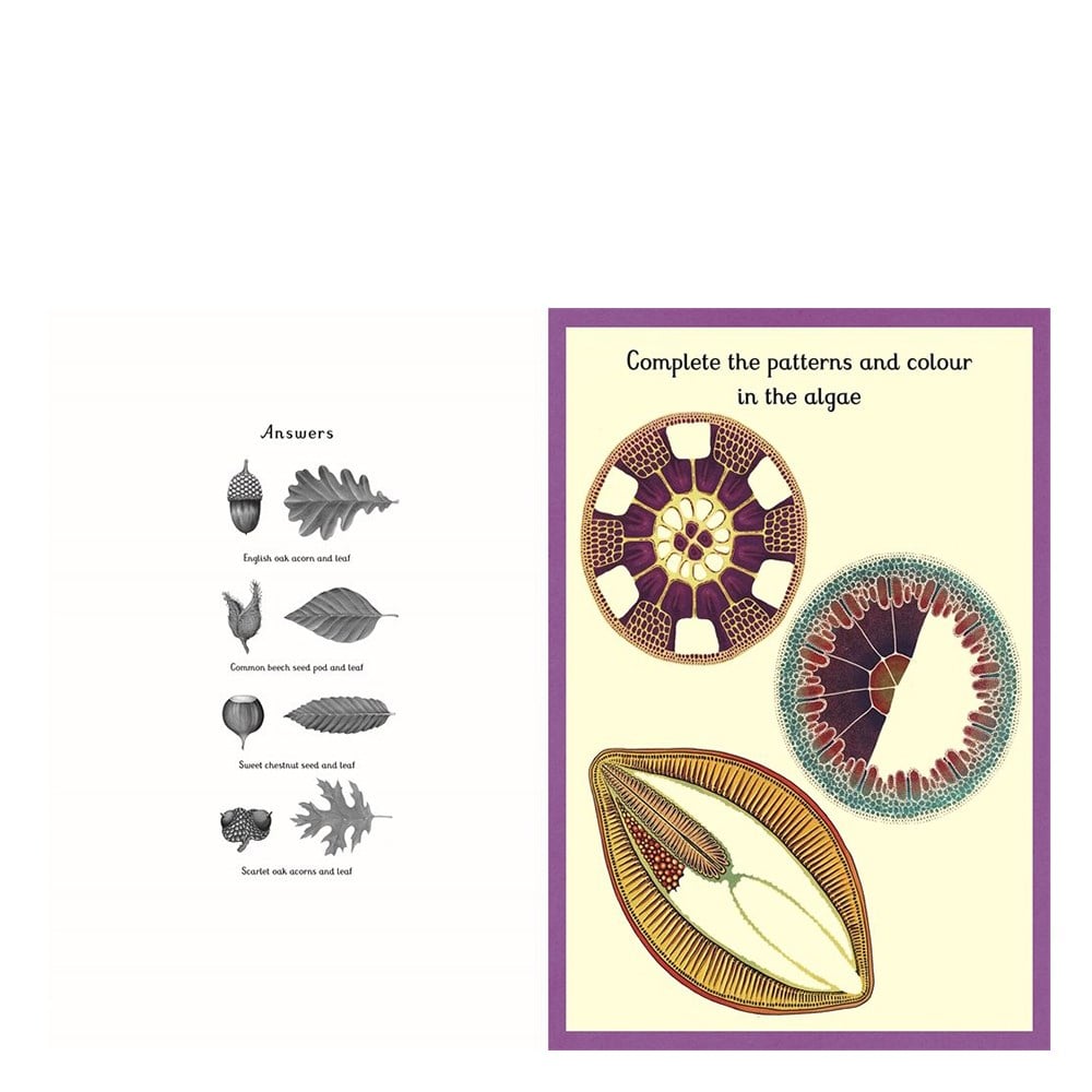 Botanicum Activity Book