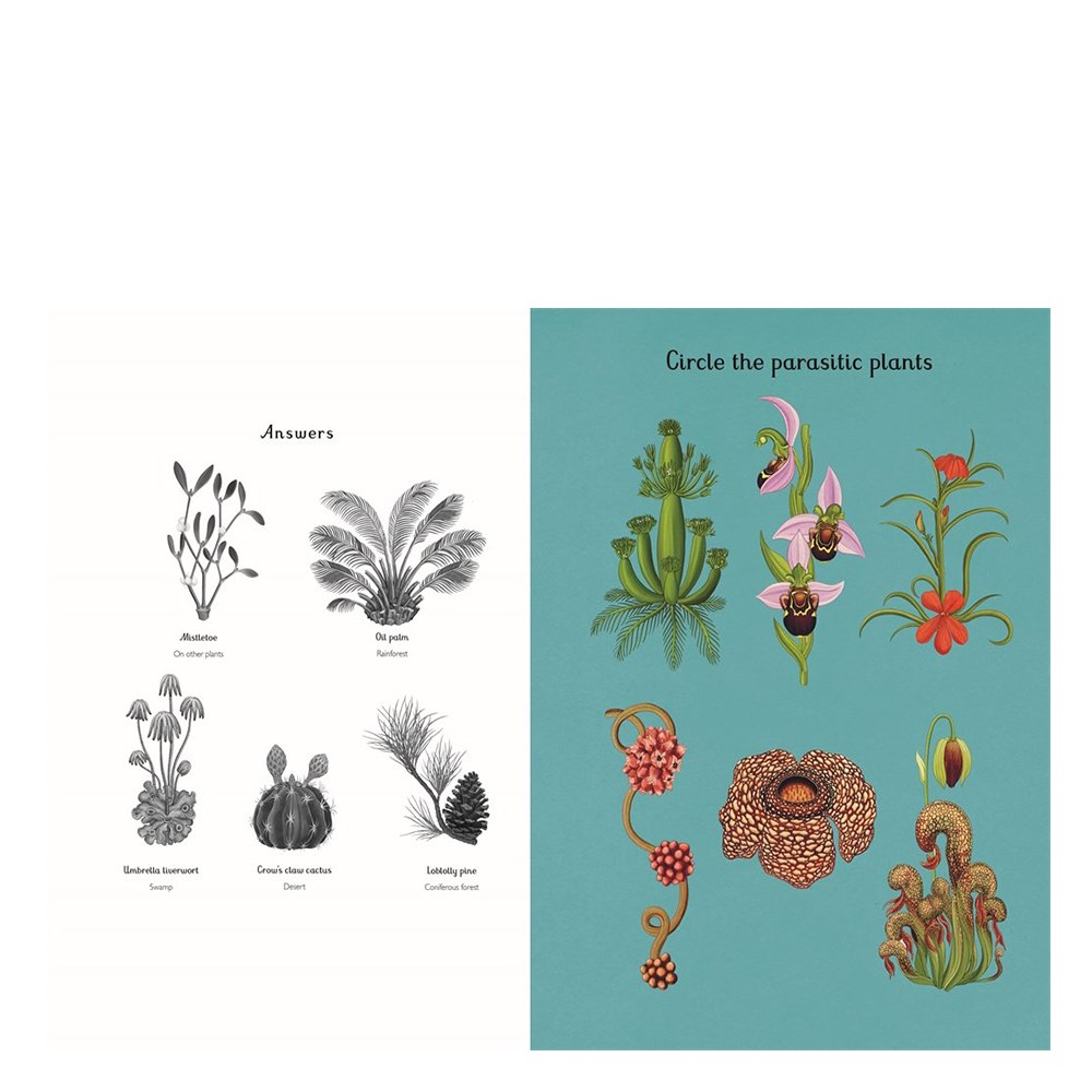 Botanicum Activity Book