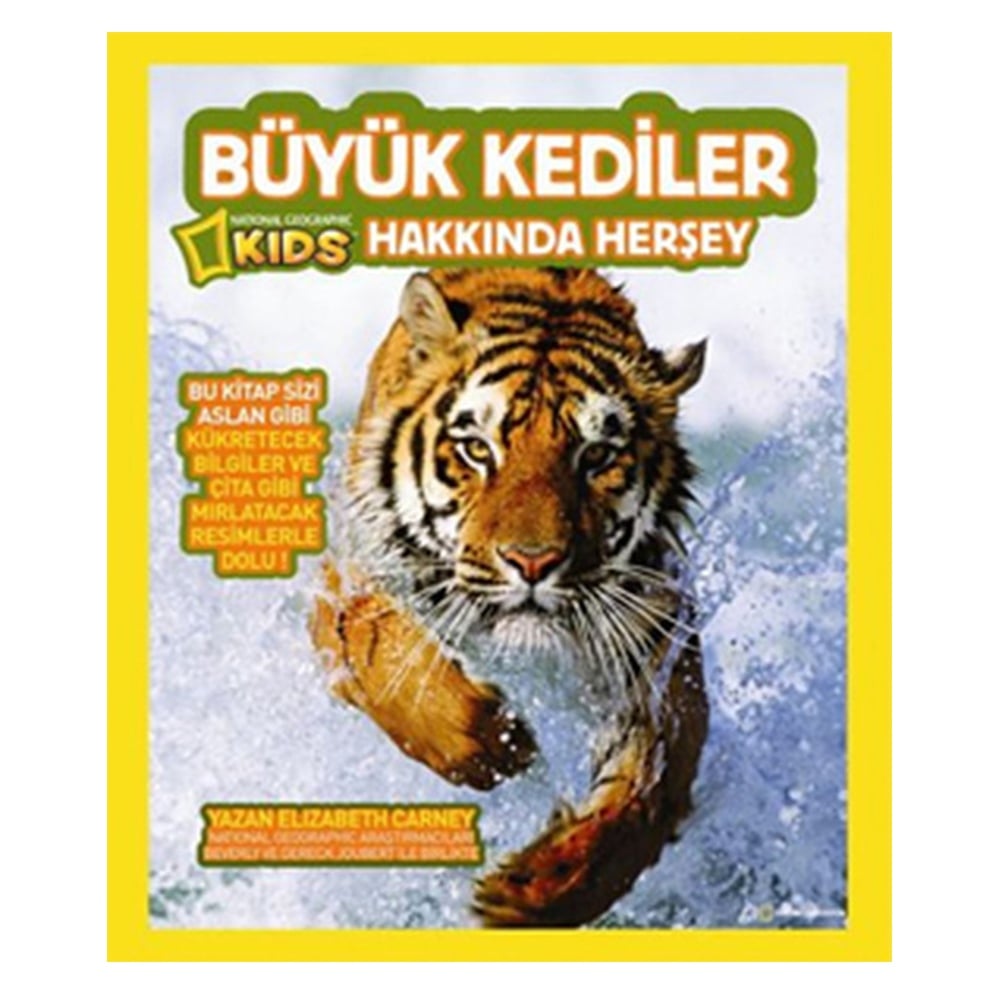 BÜYÜK KEDİLER HAKKINDA HERŞEY Çocuk Kitapları Uzmanı - Children's Books Expert