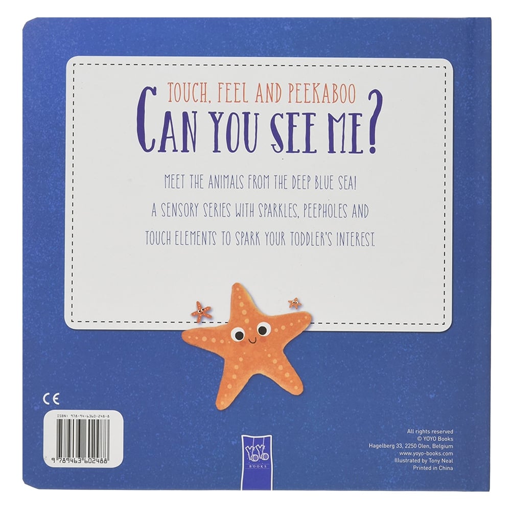 Can You See Me  Ocean