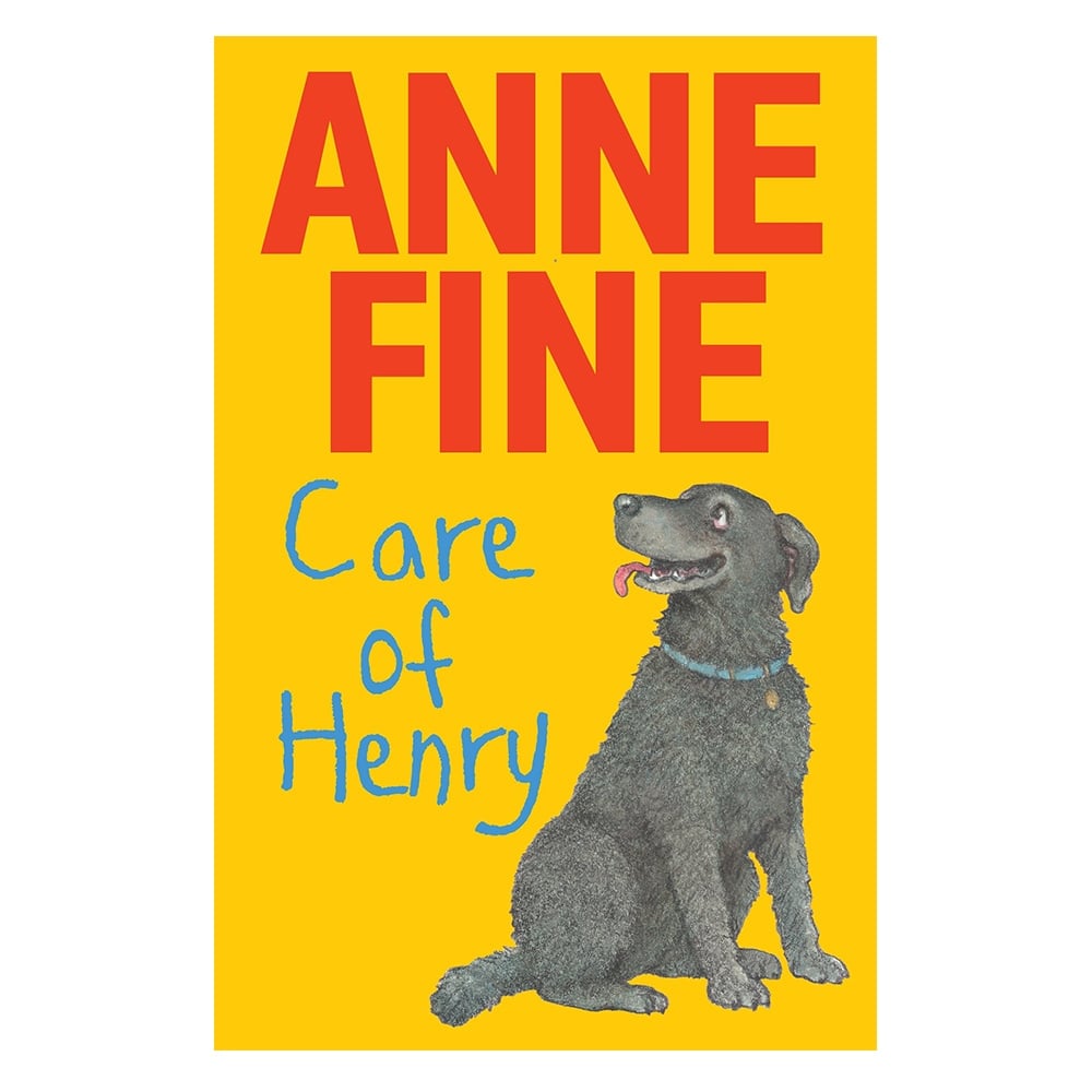 CARE OF HENRY #yenigelenler Çocuk Kitapları Uzmanı - Children's Books Expert