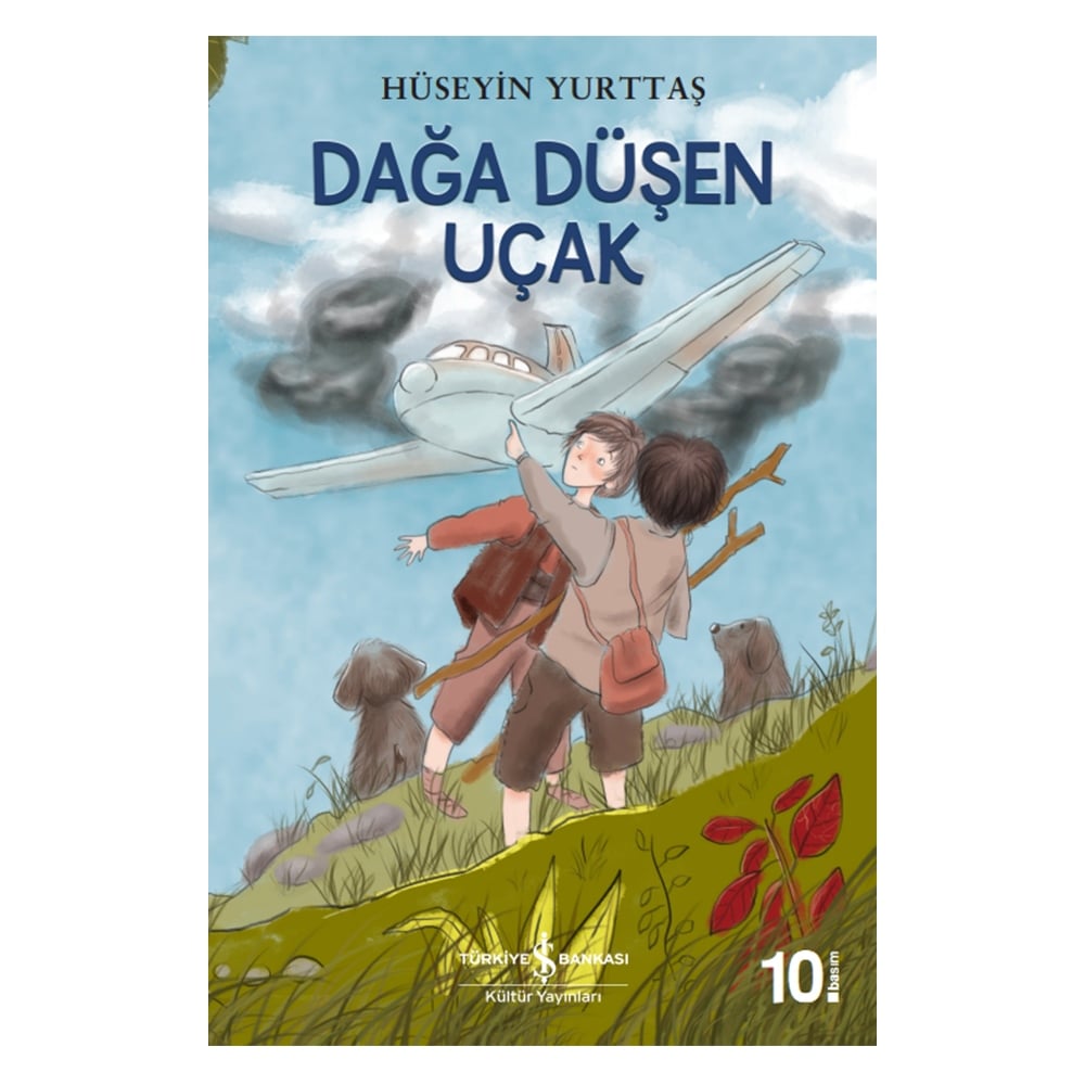 DAĞA DÜŞEN UÇAK Çocuk Kitapları Uzmanı - Children's Books Expert