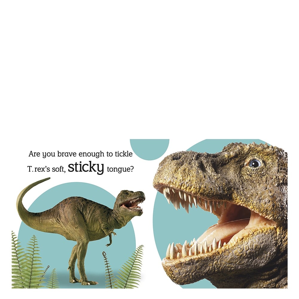 DINOSAUR (DK TOUCH - FEEL)