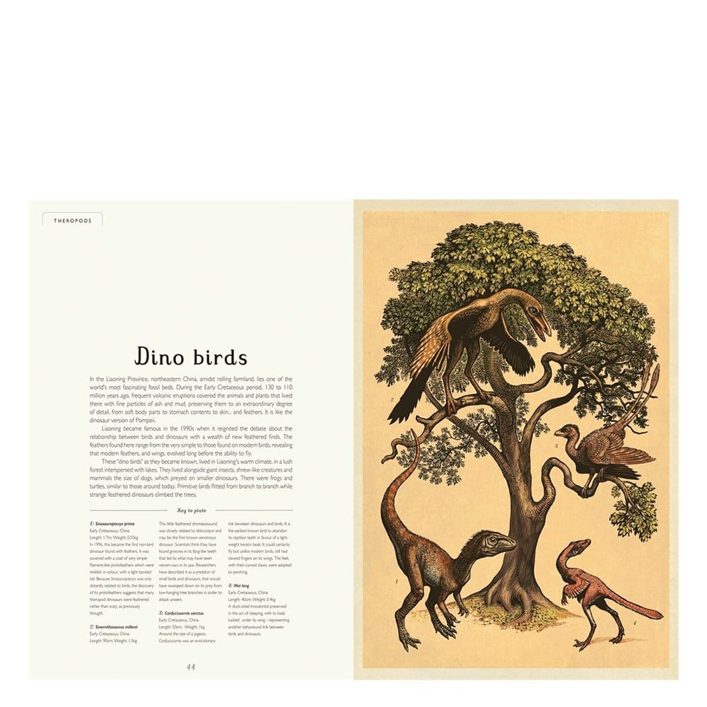 Dinosaurium