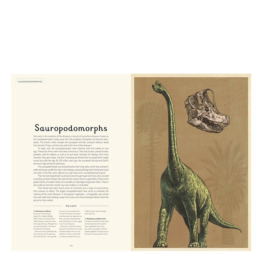 Dinosaurium