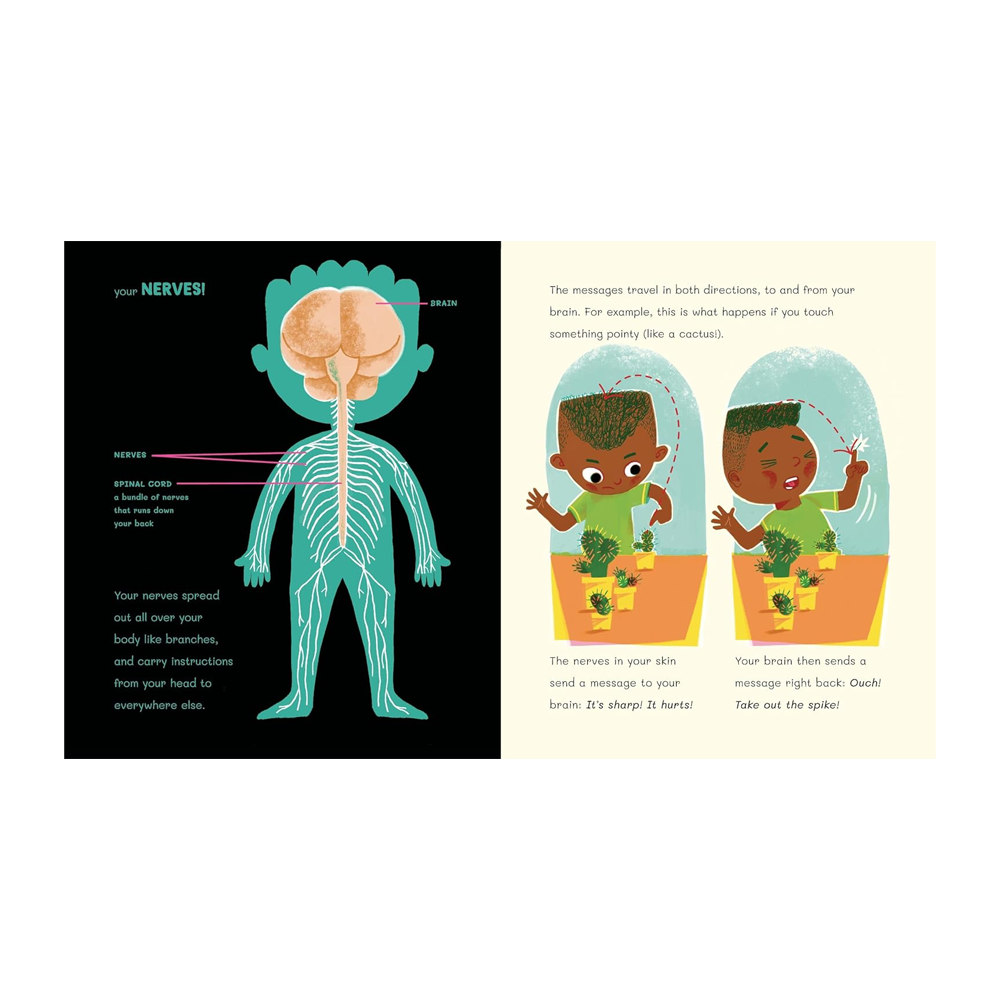 Dr Roopas Body Books - The Brilliant Brain