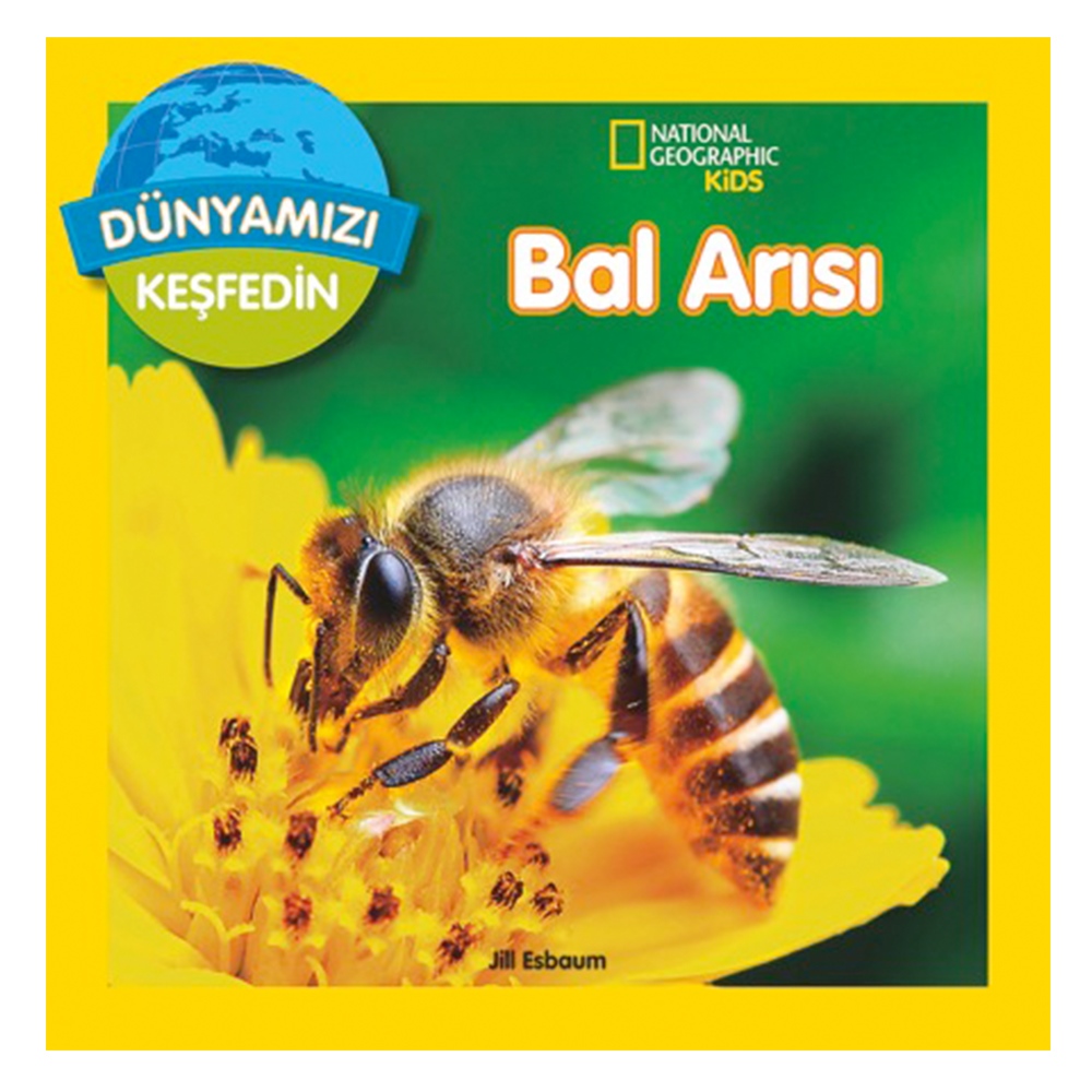 DÜNYAMIZI KEŞFEDİN - BAL ARILARI Çocuk Kitapları Uzmanı - Children's Books Expert