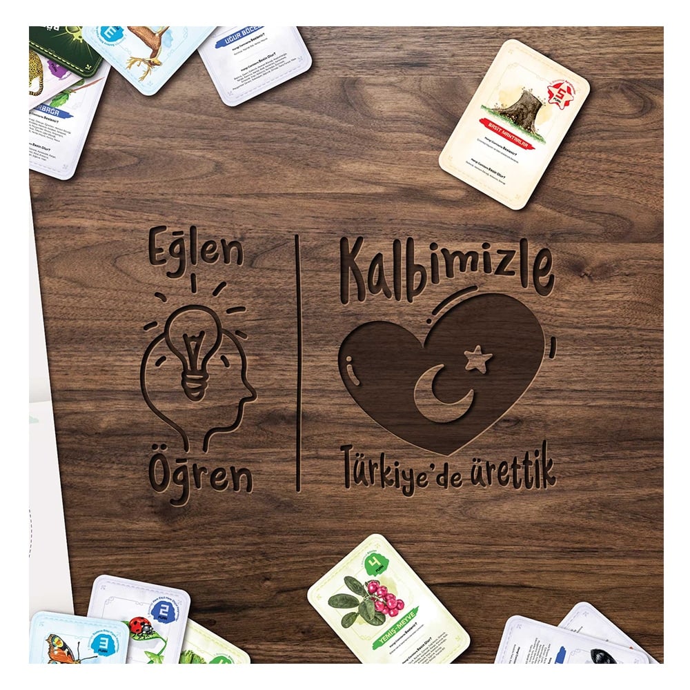 Ekosistem Besin Zinciri Kutu Oyunu Midi